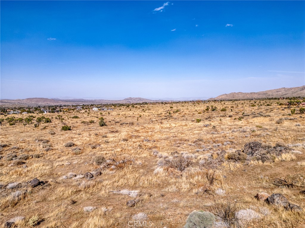 MLS #JT25046600 image #25