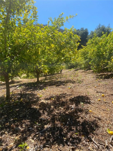 0 El Calamar Rd, Temecula CA: https://media.crmls.org/medias/8292268a-519f-4571-ba42-f99b90d37497.jpg