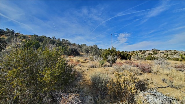 MLS #SR25242278 image #20