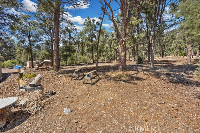 16713 Caribou Drive, Pine Mountain Club CA: https://media.crmls.org/medias/82964101-8d61-4ef3-92b3-92df82b5647a.jpg