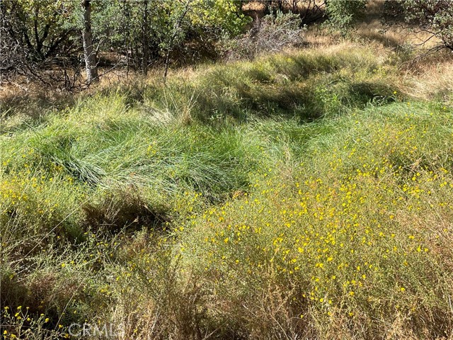 5325 Schafer, Mariposa, CA, 95338 5325 Schafer, Mariposa, CA, 95338