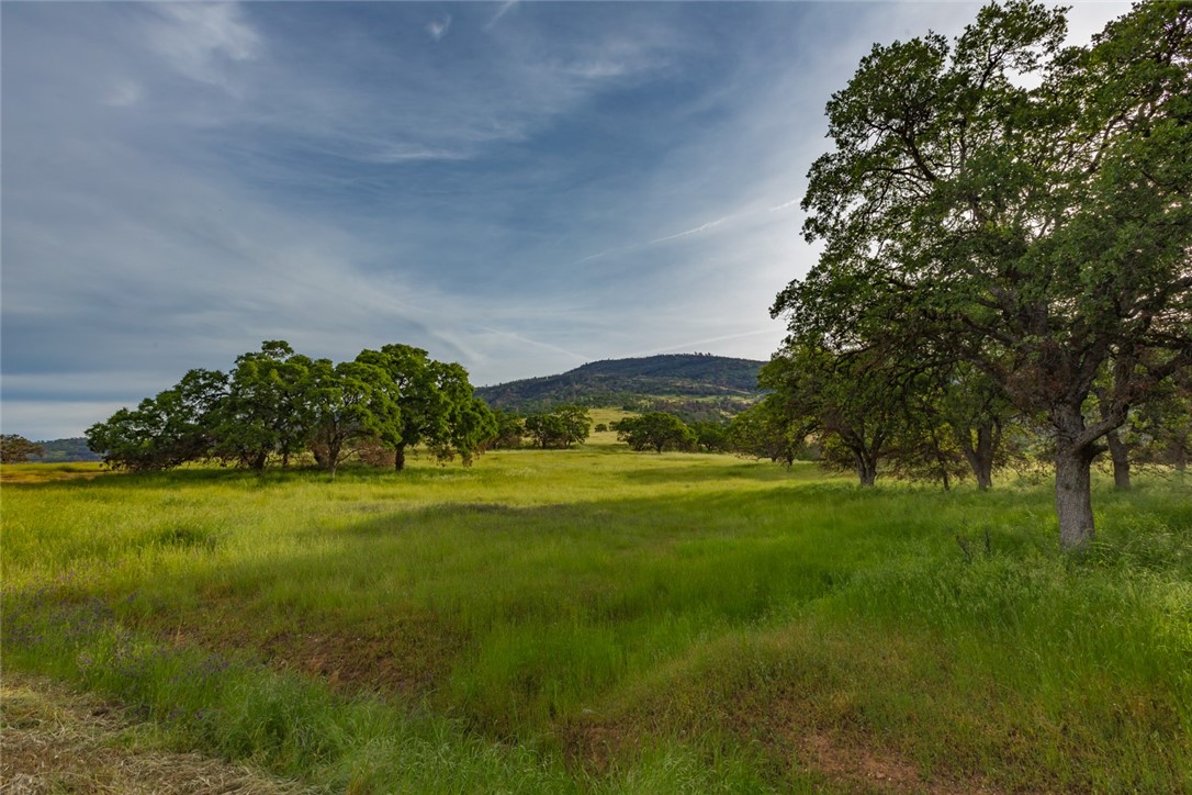 Detail Gallery Image 1 of 1 For 0 Wild Turkey Ln., Bear Valley,  CA 95338 - – Beds | – Baths