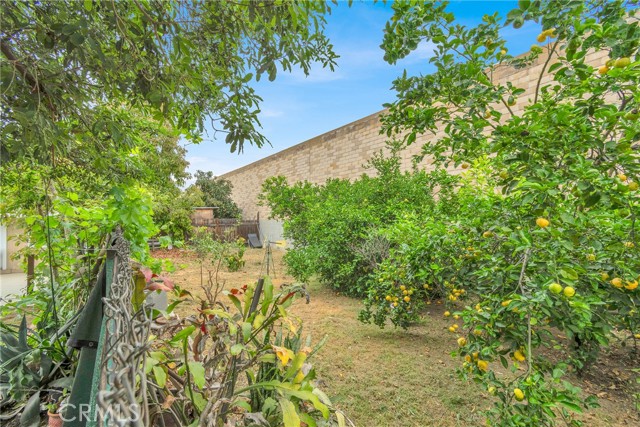 Detail Gallery Image 36 of 43 For 2501 Deodar St, Santa Ana,  CA 92705 - 3 Beds | 2 Baths