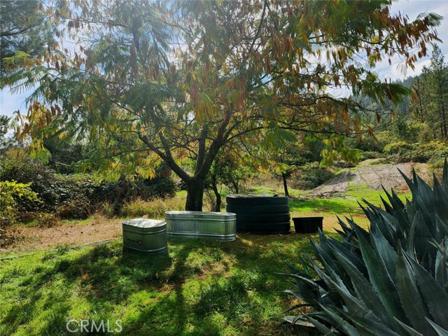 Detail Gallery Image 5 of 41 For 9366 Ranger Trl, Oregon House,  CA 95962 - 3 Beds | 2 Baths