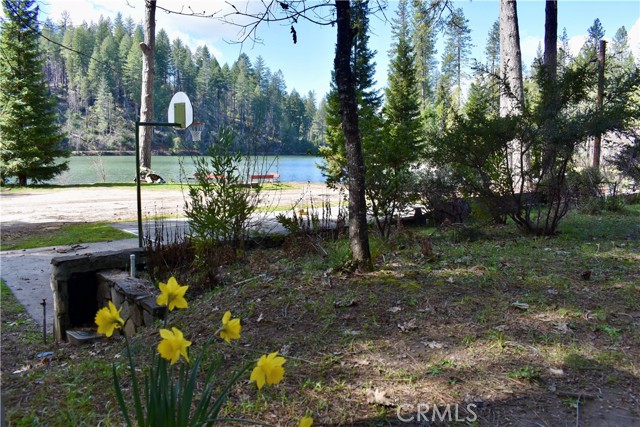 Detail Gallery Image 15 of 52 For 0 Toyon Trl, Berry Creek,  CA 95916 - – Beds | – Baths