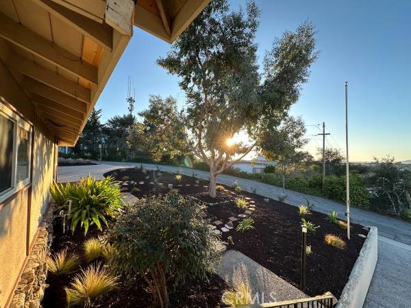 MLS #PI25233802 image #6