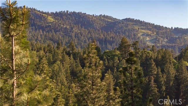 43811 Canyon Crest Drive, Big Bear Lake CA: https://media.crmls.org/medias/82b713fd-aeae-44fa-b2ea-b5328a90ddeb.jpg