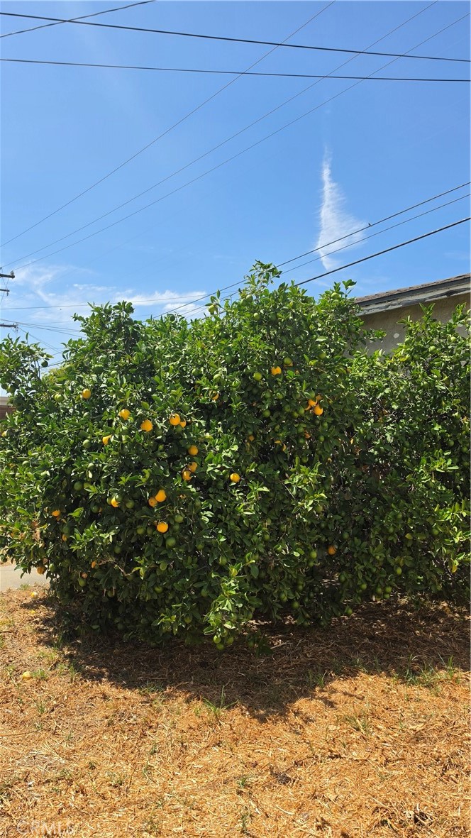 https://media.crmls.org/medias/82b74c6d-7061-49b6-ab00-70846627d058.jpg?preset=X-Large