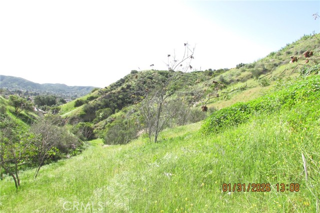 Detail Gallery Image 14 of 51 For 8001 Denivelle Rd., Sunland,  CA 91040 - – Beds | – Baths