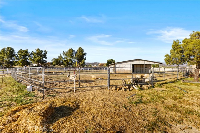 Detail Gallery Image 42 of 56 For 59083 Coyote Canyon Rd, Anza,  CA 92539 - 5 Beds | 3 Baths