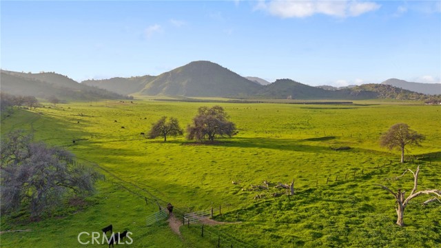 Detail Gallery Image 17 of 51 For 19400 398, Woodlake,  CA 93286 - – Beds | – Baths