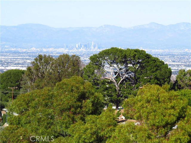 From the snow capped mountains to downtown LA to the twinkling night time view you can  enjoy this sweeping view from all major rooms