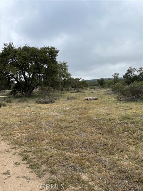 Detail Gallery Image 6 of 8 For 41 Melton Dr, Hemet,  CA 92544 - – Beds | – Baths