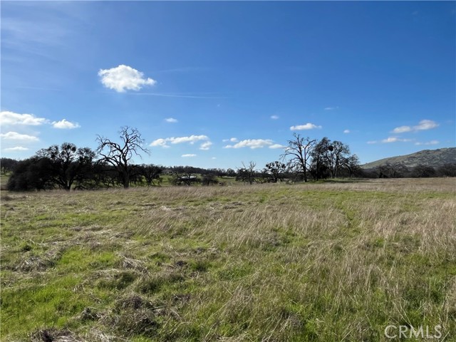 Detail Gallery Image 8 of 17 For 2463 Old Hwy, Catheys Valley,  CA 95306 - – Beds | – Baths