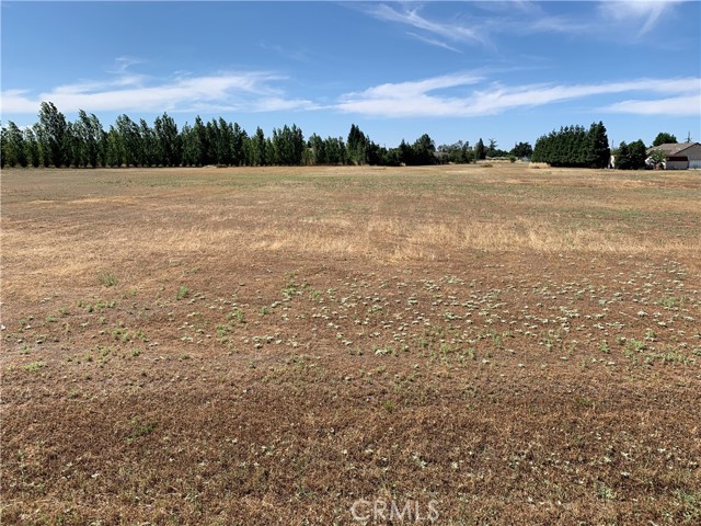 6690 County Road 21, Orland, California 95963, ,Land,For Sale,6690 County Road 21,CRSN23109931