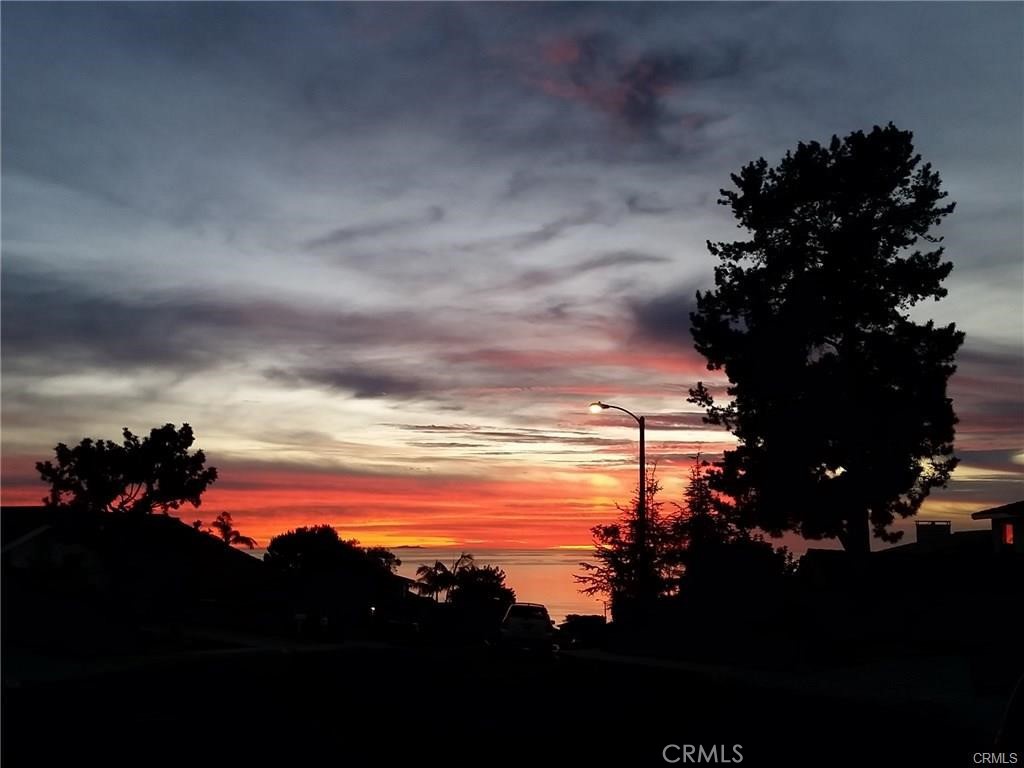 MLS #SB25181094 image #1