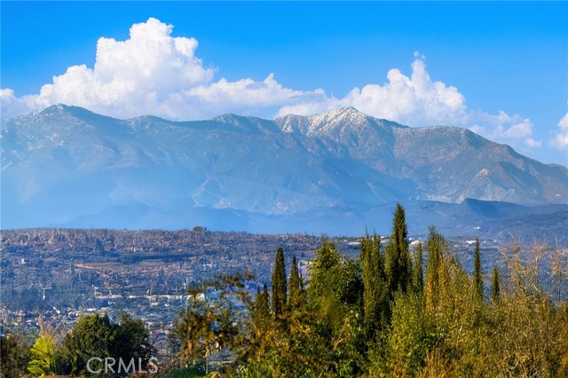 Detail Gallery Image 38 of 42 For 2728 Plano Dr, Rowland Heights,  CA 91748 - 3 Beds | 2 Baths