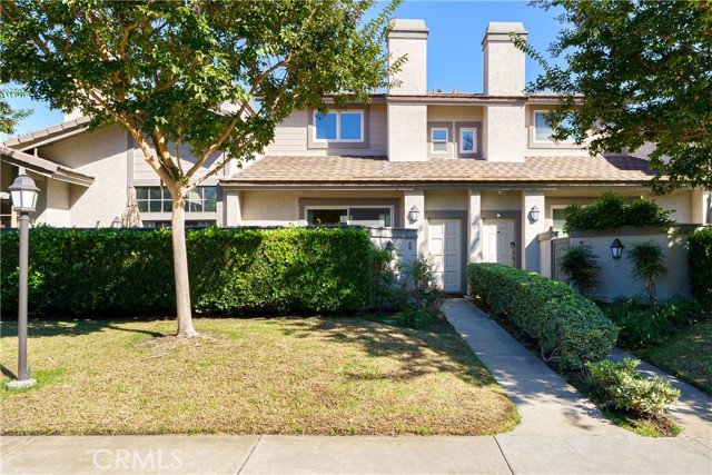 Front Image Thumbnail for CROC25216749