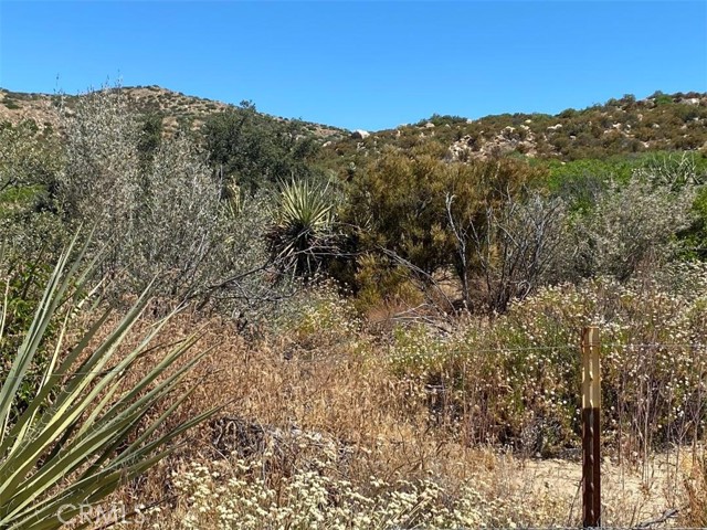 Detail Gallery Image 12 of 28 For 63151 Table Mountain Truck, Anza,  CA 92561 - – Beds | – Baths