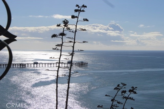 Detail Gallery Image 28 of 35 For 807 Buena Vista #C,  San Clemente,  CA 92672 - 2 Beds | 2 Baths