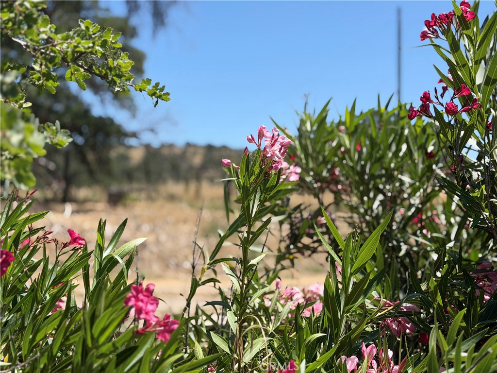 https://media.crmls.org/medias/82d3596e-1dfb-4274-8160-bc7f2a45af87.jpg?preset=X-Large
