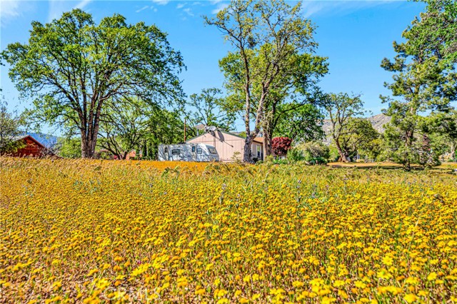 Detail Gallery Image 6 of 48 For 20501 Schell Ranch Rd, Caliente,  CA 93518 - 3 Beds | 2 Baths