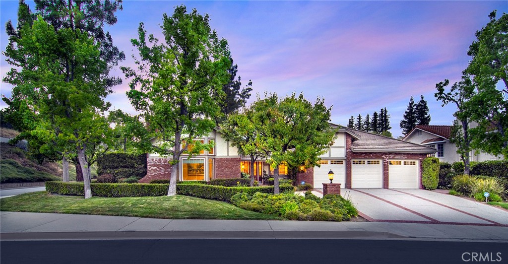 29551 Weeping Willow