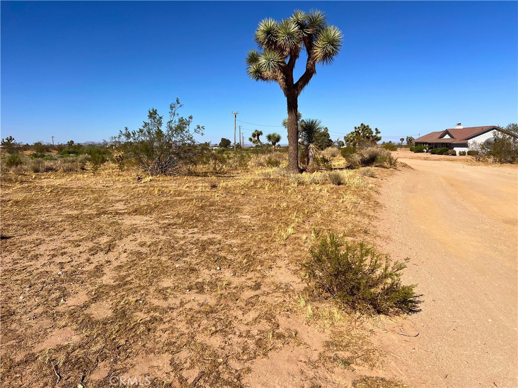 MLS #OC24174508 img 6