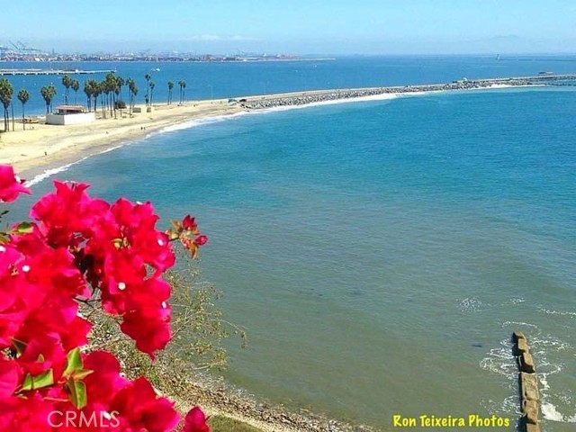 Detail Gallery Image 58 of 62 For 976 W 37th St, San Pedro,  CA 90731 - 4 Beds | 3 Baths