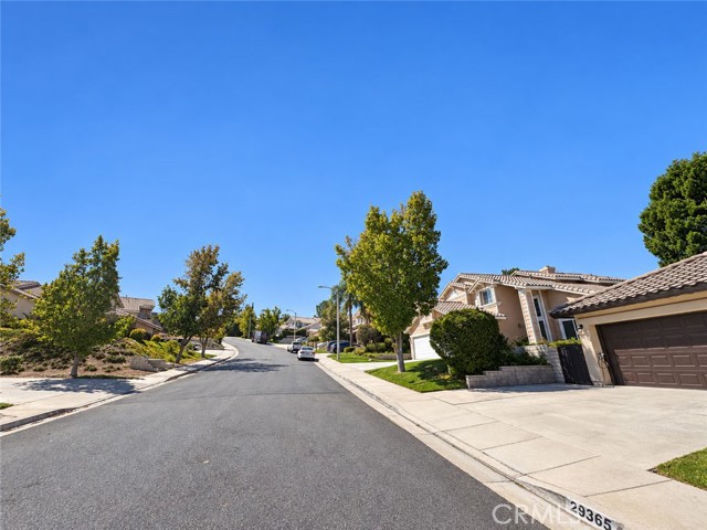 29364 Canyon Rim Place photo 49