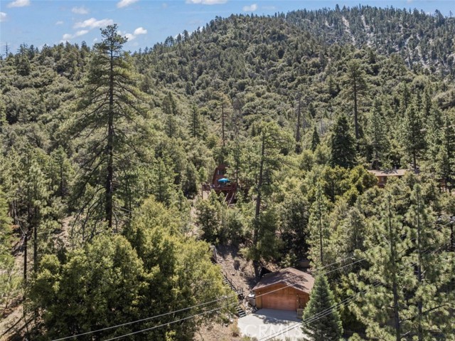 1320 Woodland Drive, Pine Mountain Club CA: https://media.crmls.org/medias/82e61be8-f7be-407a-8829-671fd05bbdbc.jpg