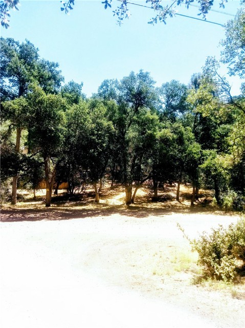 Front Image Thumbnail for CRSN26058732