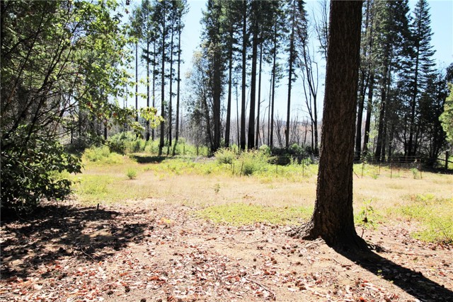 Detail Gallery Image 31 of 43 For 268 Milsap Bar Rd, Berry Creek,  CA 95916 - 3 Beds | 1 Baths