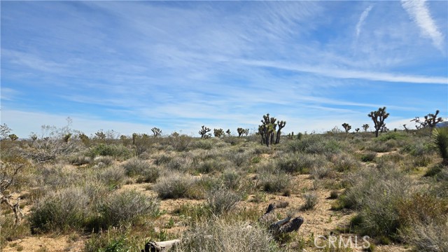 Detail Gallery Image 33 of 50 For 0 Fort Tejon Rd Vicinity 181st St E, Llano,  CA 93544 - – Beds | – Baths