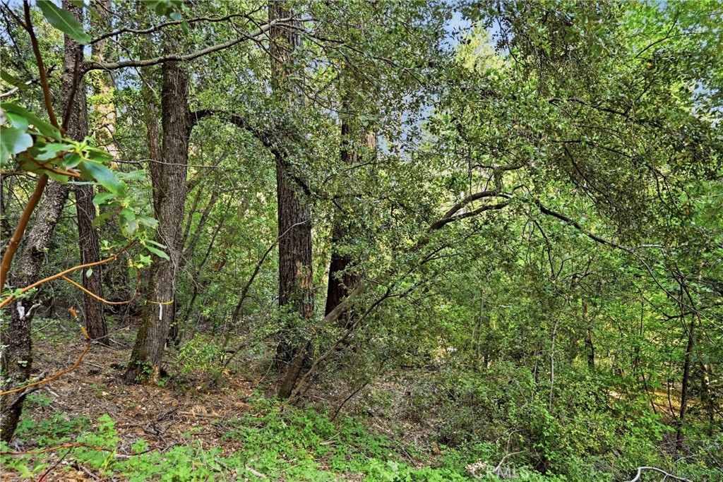 https://media.crmls.org/medias/82e95a13-ebf7-4bdb-b1ad-6267e60085c7.jpg?preset=X-Large