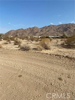 MLS #JT24081053 image #3