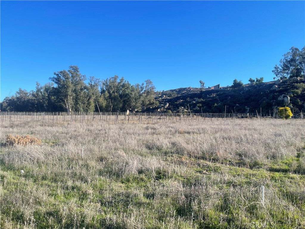 MLS #WS25276306 image #29