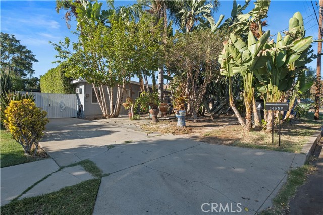14689 Nurmi Street photo 4