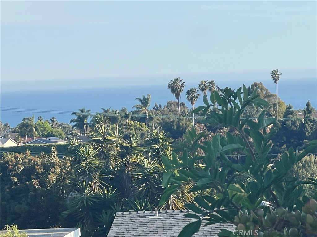 MLS #OC25104089 img 6