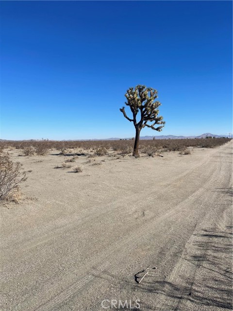 0 Saxon, Adelanto, CA, 92301 0 Saxon, Adelanto, CA, 92301