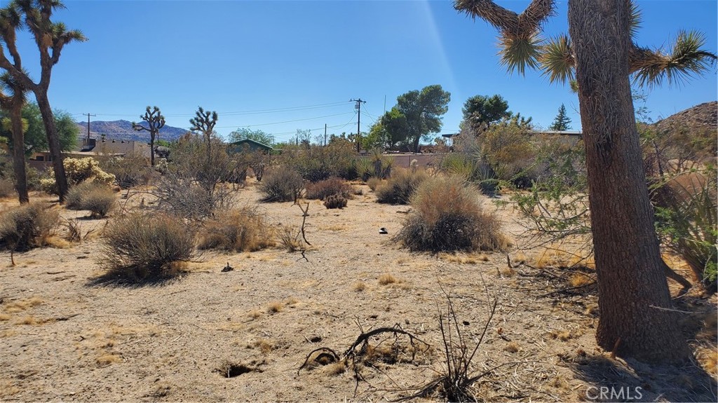 MLS #JT25207371 image #3