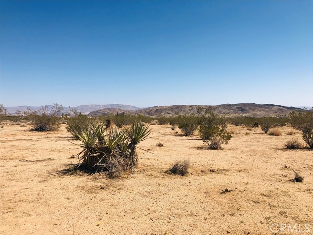 Detail Gallery Image 4 of 10 For 2 Geronimo Trl, Landers,  CA 92285 - – Beds | – Baths