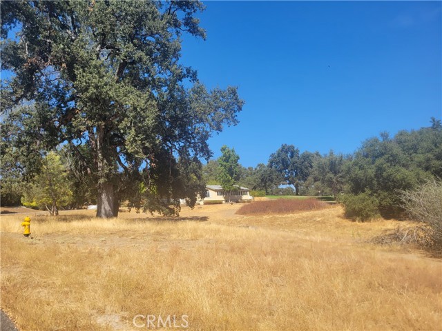 Detail Gallery Image 1 of 10 For 1 Acre Griffin Dr, Oakhurst,  CA 93644 - – Beds | – Baths