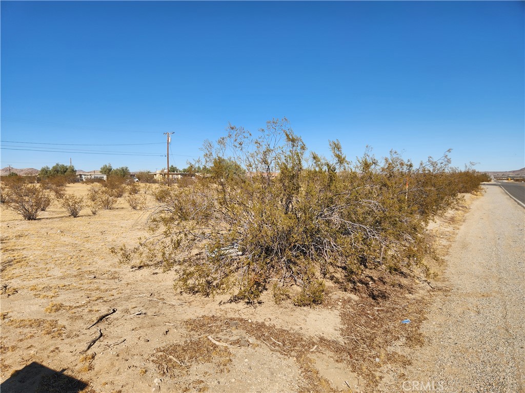 MLS #HD25223564 image #3