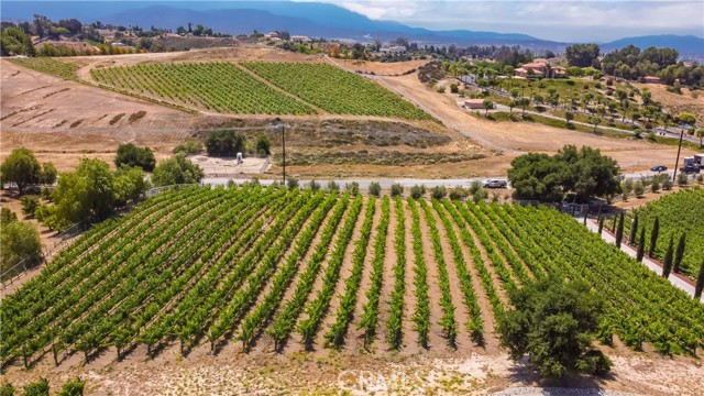 34150 Pauba Road, Temecula CA: https://media.crmls.org/medias/8306a961-2947-455d-bae6-985228724952.jpg