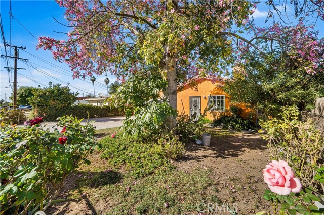 Front Image Thumbnail for CROC25251780