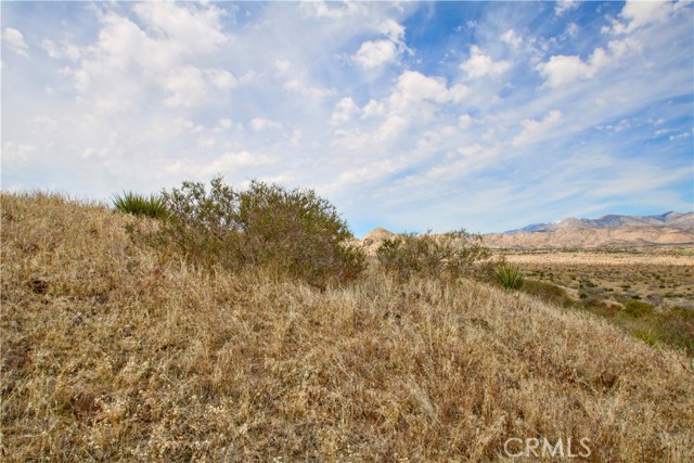Detail Gallery Image 39 of 52 For 5051 Chapparosa Rd, Pioneertown,  CA 92268 - – Beds | – Baths