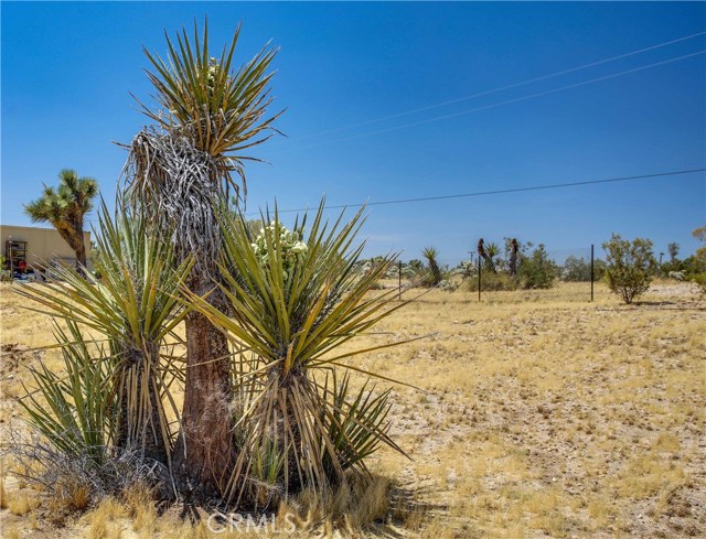 Detail Gallery Image 41 of 63 For 5407 Paradise View Rd, Yucca Valley,  CA 92284 - 3 Beds | 2 Baths
