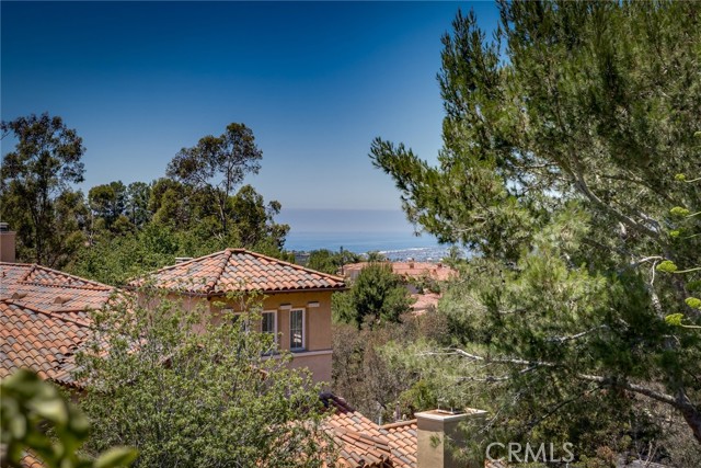 12 Savona Court, Newport Coast CA: https://media.crmls.org/medias/83165ae2-0861-48ab-bec6-8095264bbd31.jpg