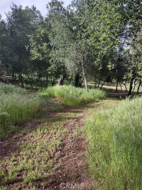 0 Avenida Perla Bonita, Murrieta CA: https://media.crmls.org/medias/8318aa72-8603-4e09-99a2-ea1f8f58dc7d.jpg